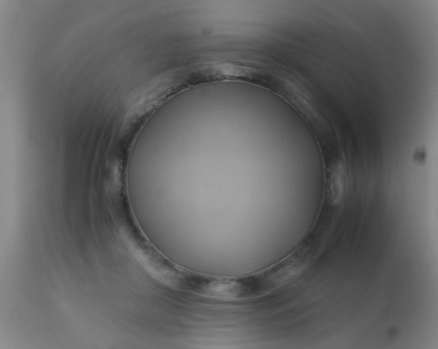 X0000110970410200907022250