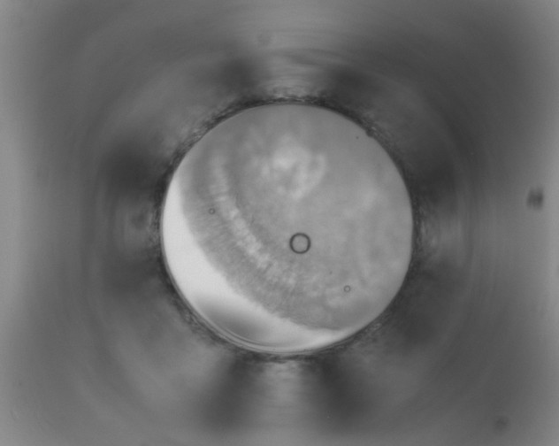 X0000110970411200907022250