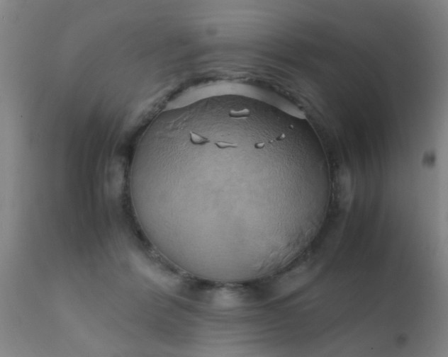 X0000110970412200907022249