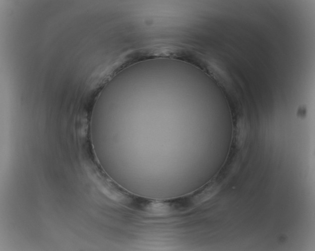 X0000110970413200907022249