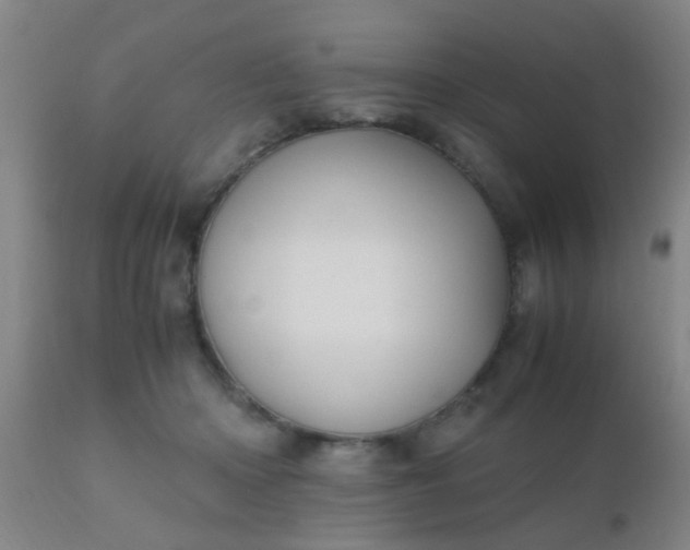 X0000110970414200907022249