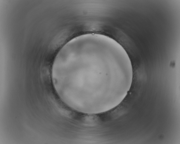 X0000110970415200907022249