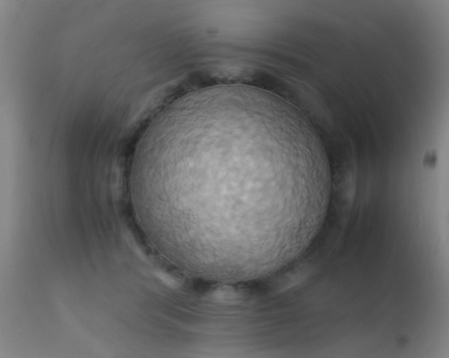 X0000110970416200907022249