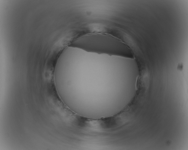 X0000110970417200907022249