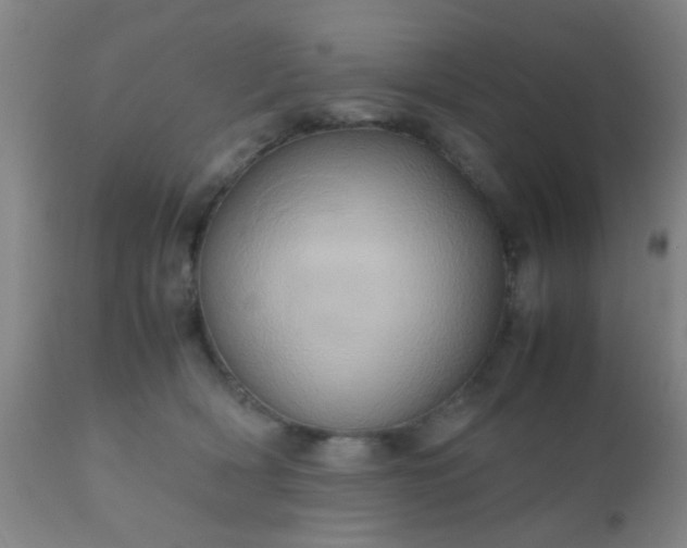 X0000110970418200907022249