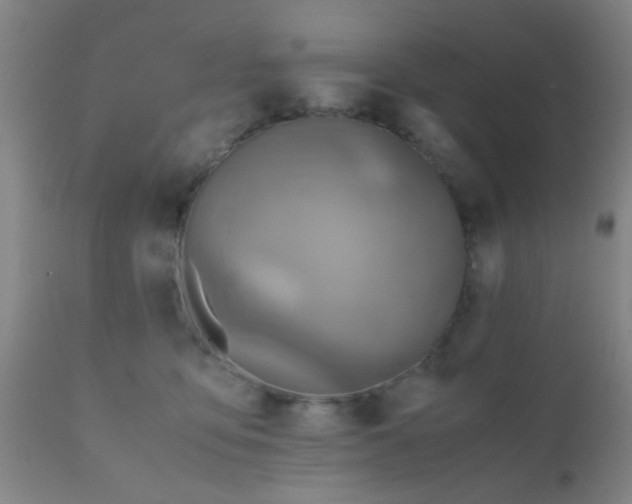 X0000110970419200907022249