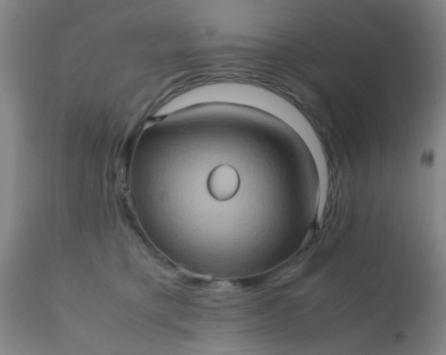 X0000110970421200907022249