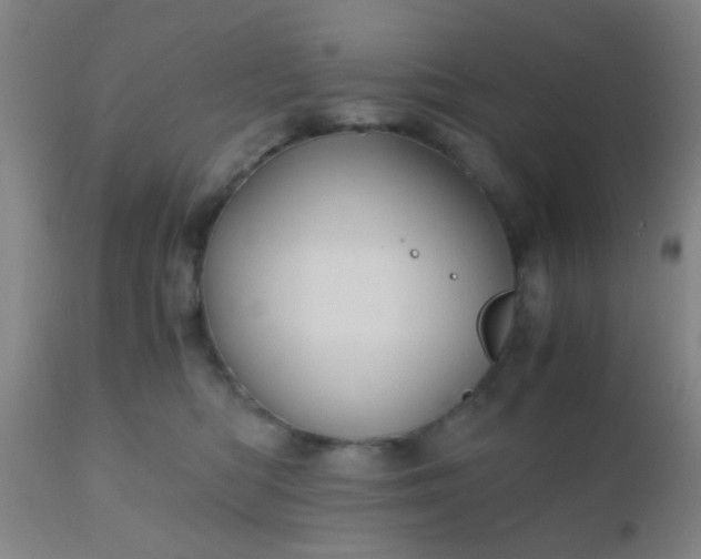 X0000110970422200907022249