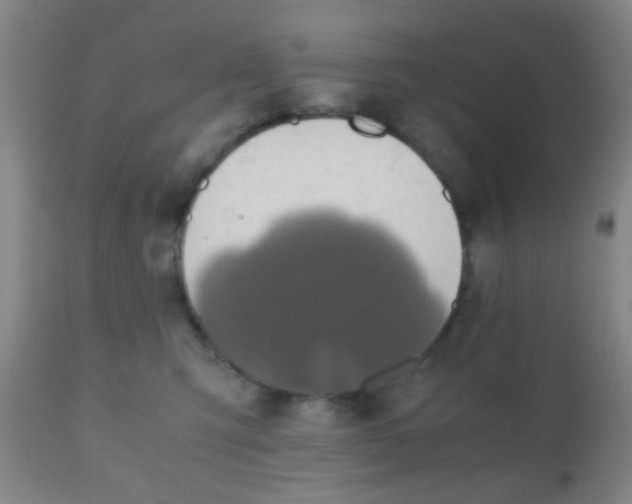 X0000110970423200907022249