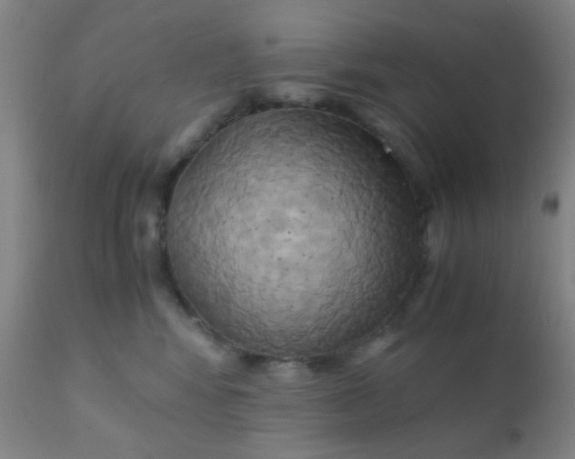 X0000110970424200907022249