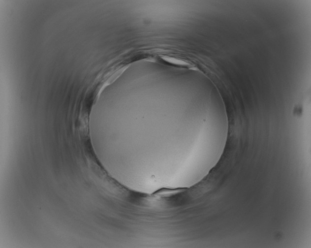 X0000110970425200907022249