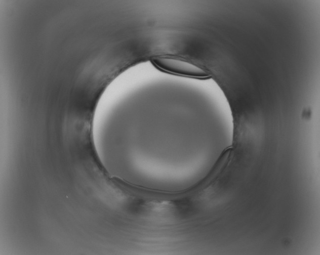 X0000110970427200907022249