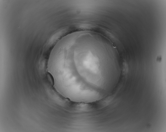 X0000110970428200907022249