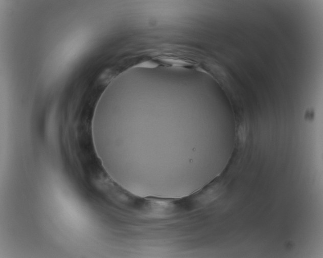 X0000110970429200907022249