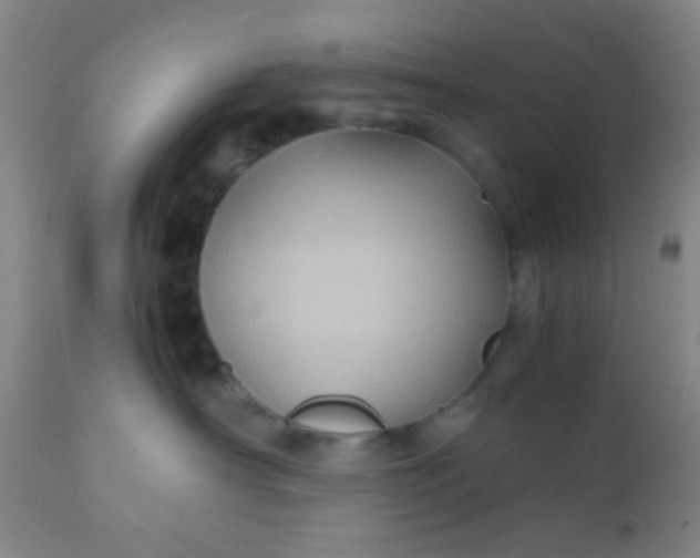 X0000110970430200907022249