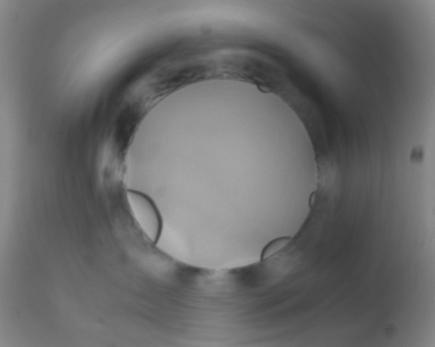 X0000110970431200907022249