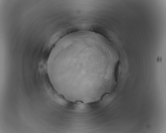 X0000110970432200907022249