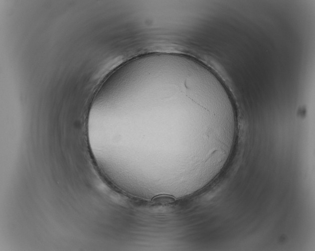 X0000110970433200907022248