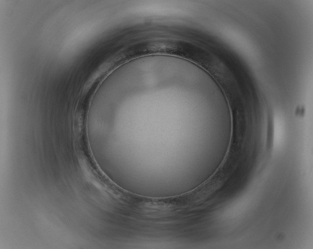 X0000110970435200907022248