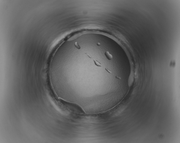 X0000110970436200907022248