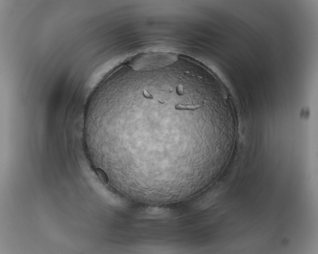 X0000110970437200907022248