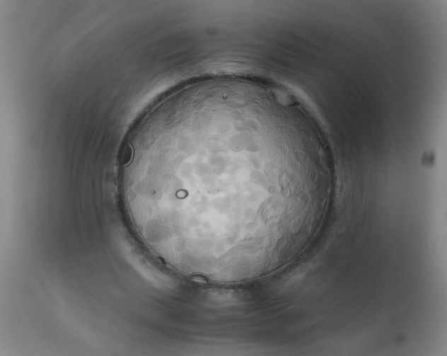 X0000110970439200907022248