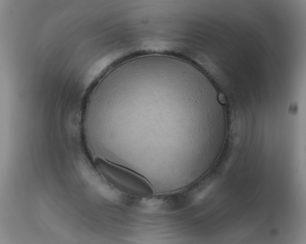 X0000110970440200907022248