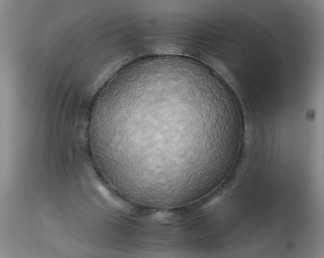 X0000110970441200907022248