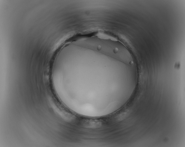 X0000110970443200907022249