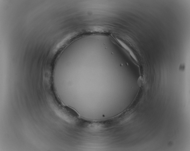 X0000110970444200907022249