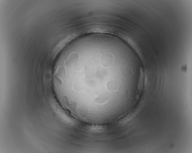 X0000110970445200907022249