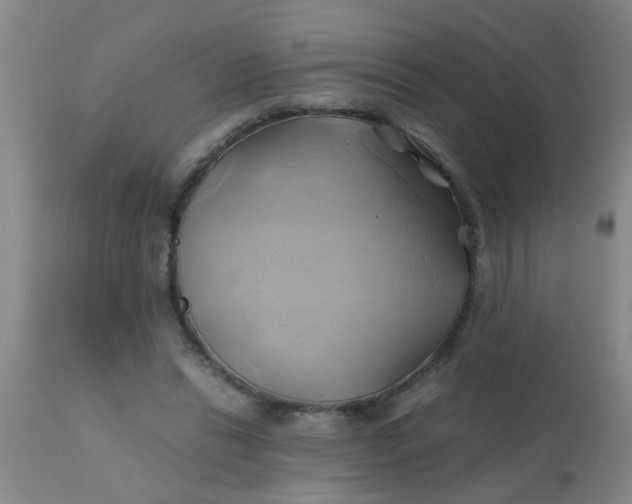 X0000110970446200907022249