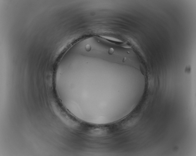 X0000110970447200907022249