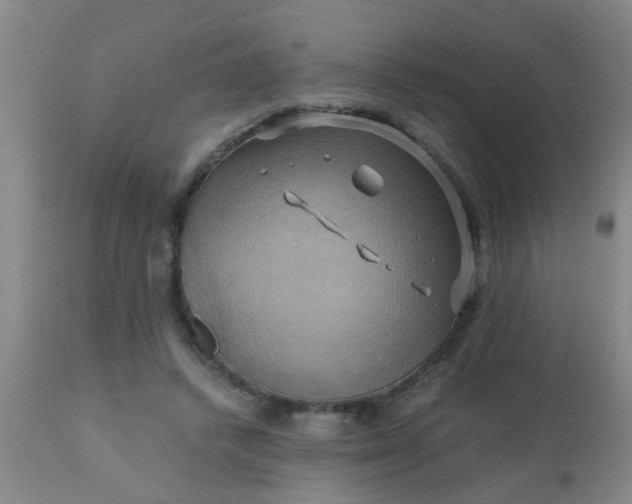 X0000110970448200907022249