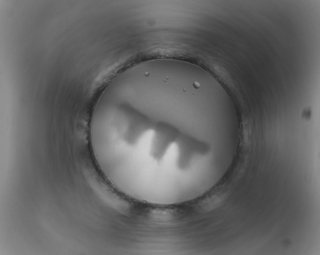 X0000110970450200907022249