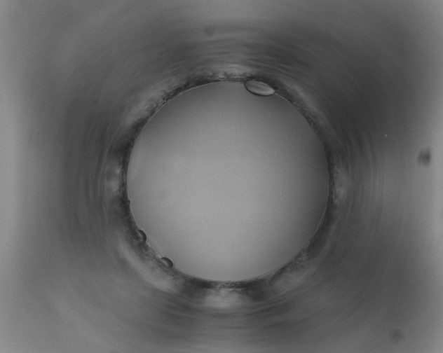 X0000110970451200907022249