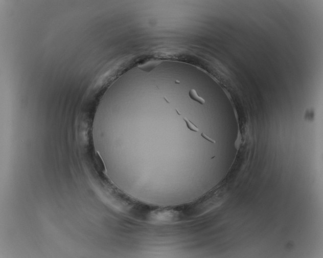 X0000110970452200907022249