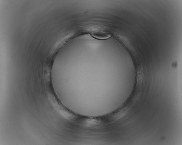 X0000110970453200907022249