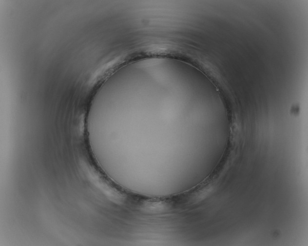 X0000110970454200907022249