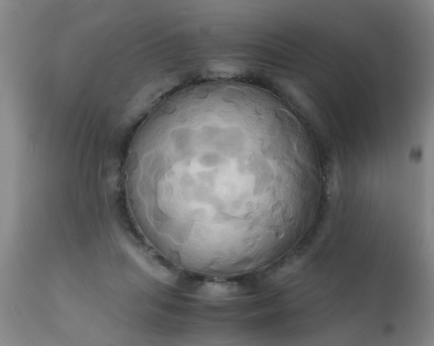 X0000110970455200907022249