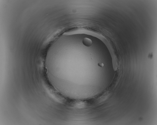 X0000110970456200907022249