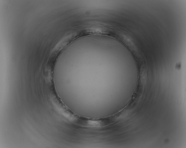 X0000110970457200907022249