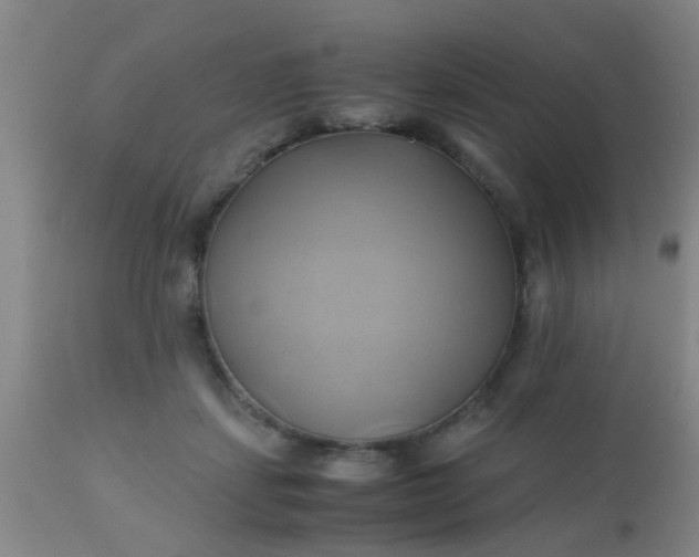 X0000110970459200907022249