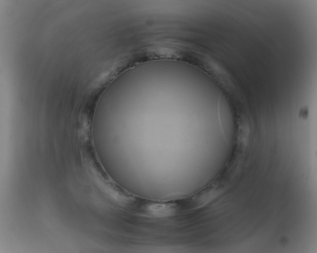 X0000110970465200907022249