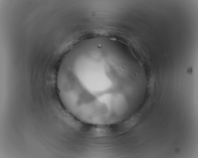 X0000110970466200907022249