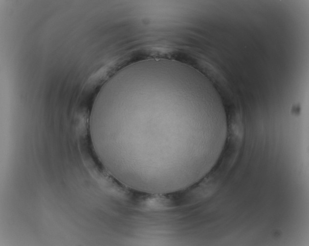 X0000110970468200907022249