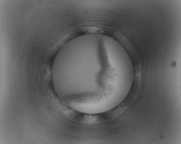 X0000110970469200907022249