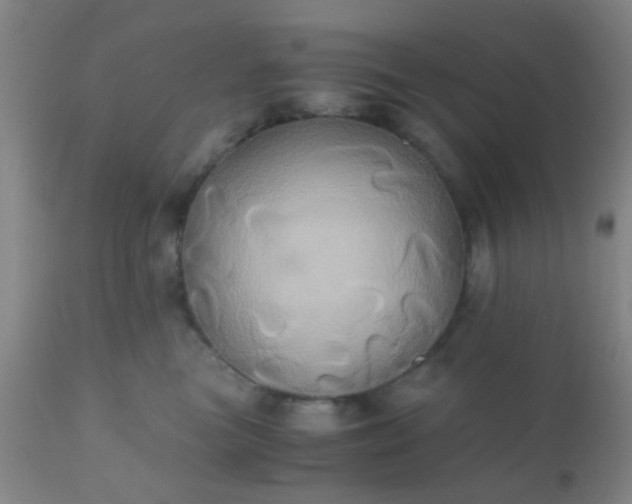 X0000110970473200907022249