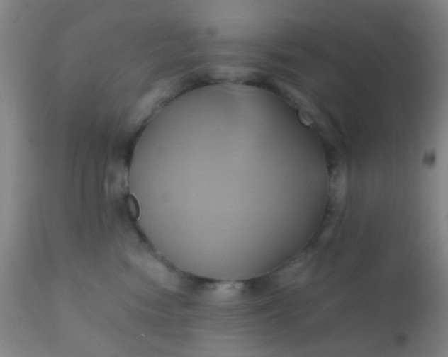 X0000110970474200907022249