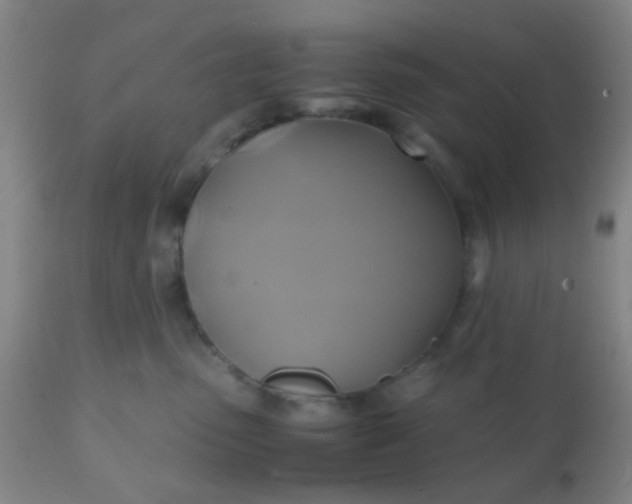 X0000110970475200907022249